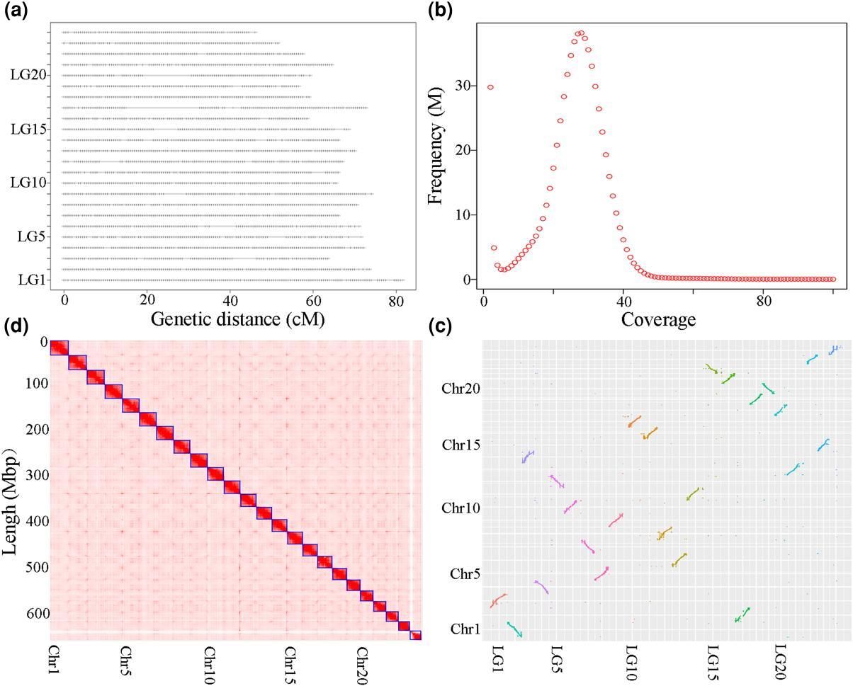 威廉希尔中文网站平台