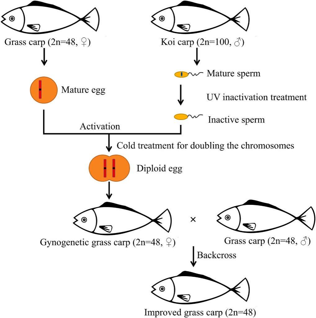 威廉希尔中文网站平台