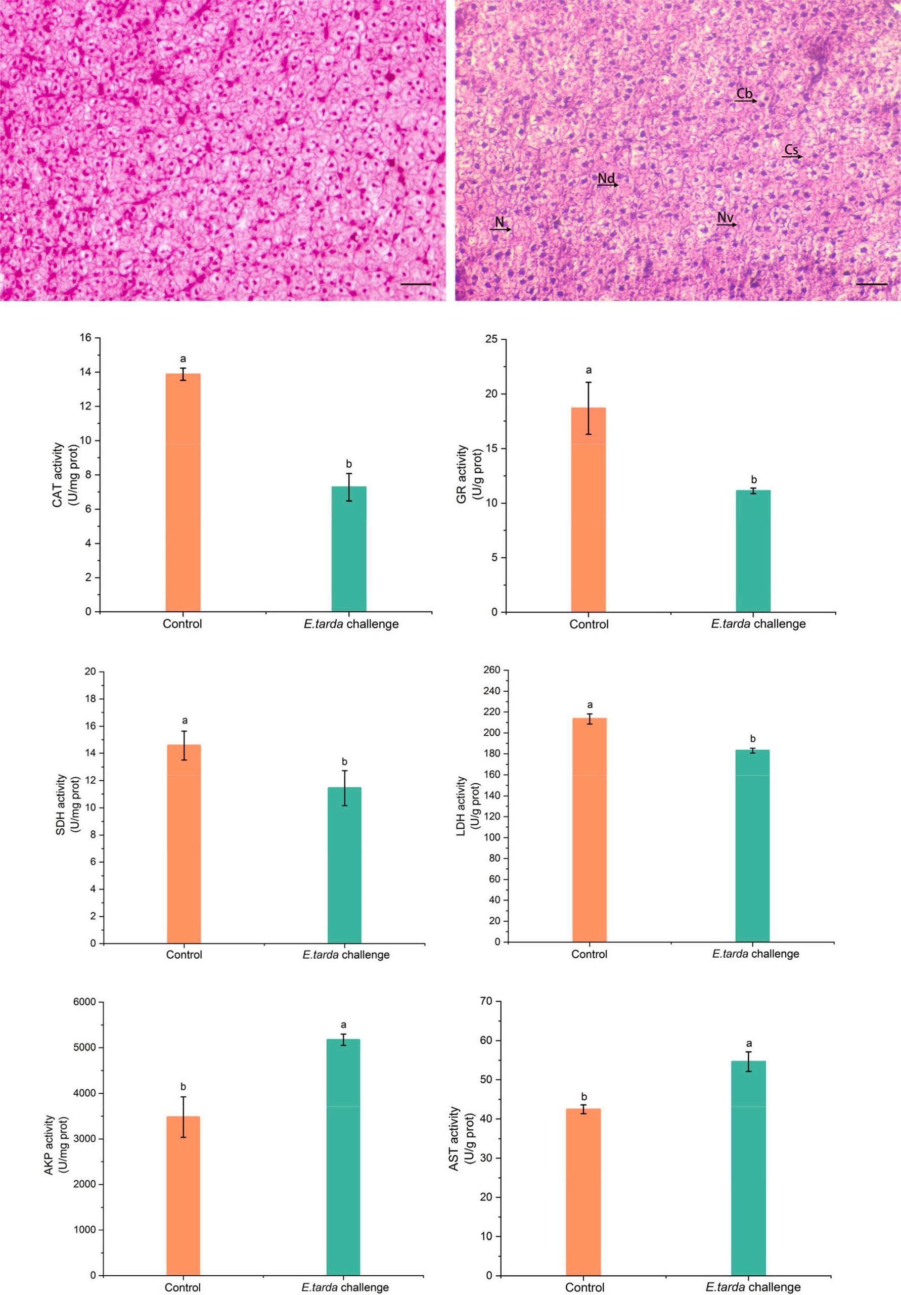 威廉希尔中文网站平台