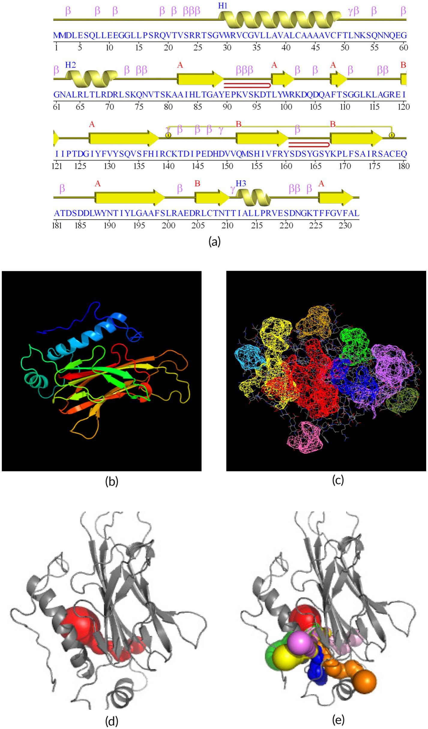 威廉希尔中文网站平台