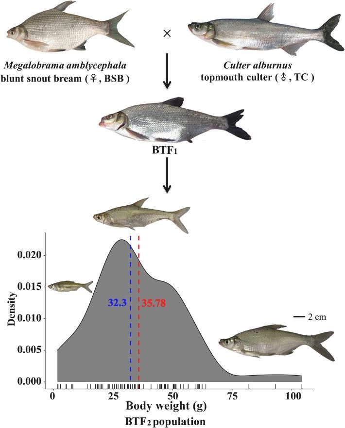 威廉希尔中文网站平台