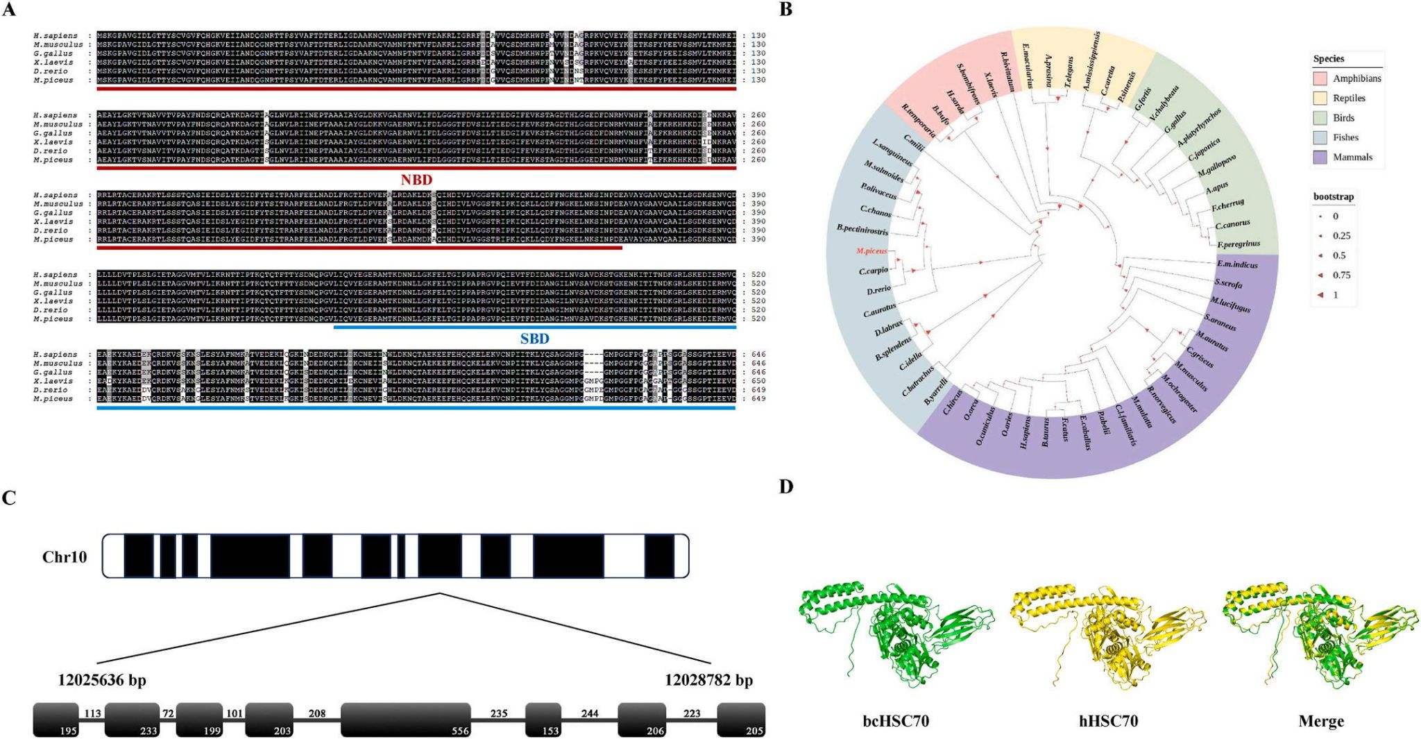 威廉希尔中文网站平台