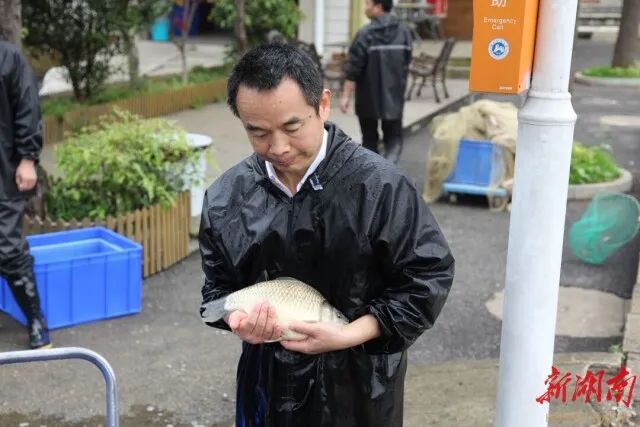 威廉希尔中文网站平台
