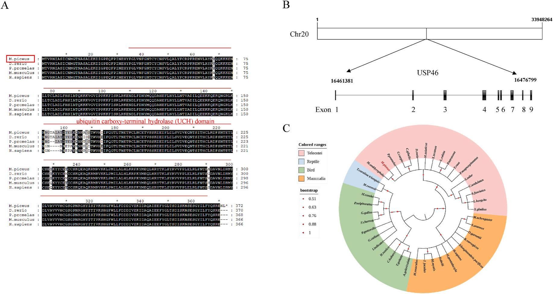 威廉希尔中文网站平台