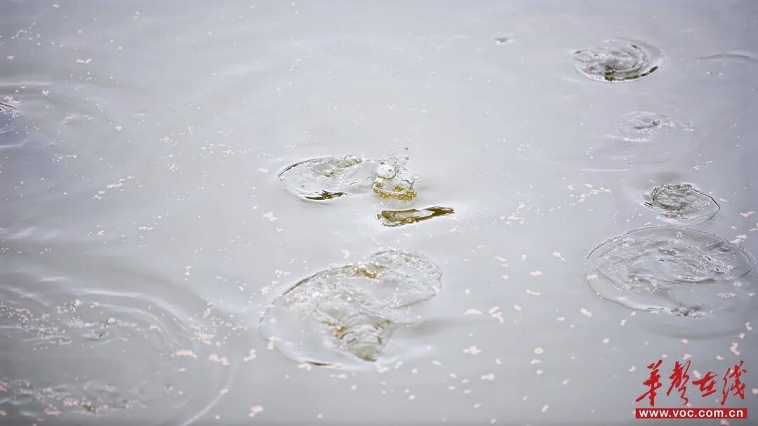 威廉希尔中文网站平台