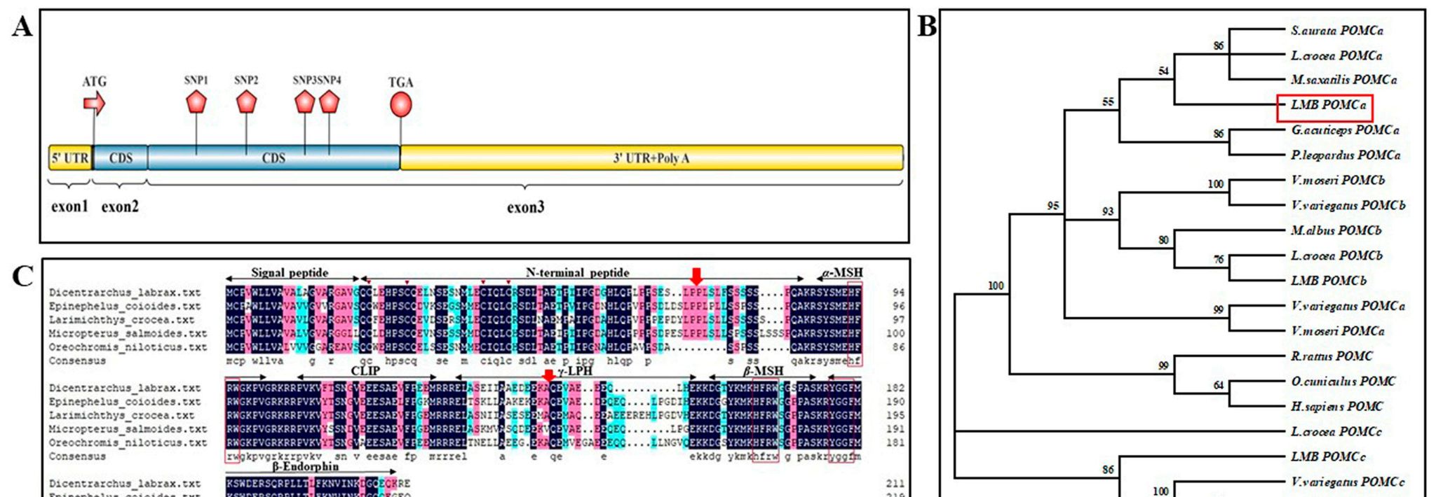威廉希尔中文网站平台