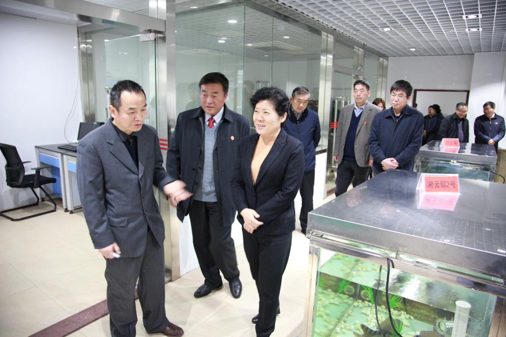 威廉希尔中文网站平台