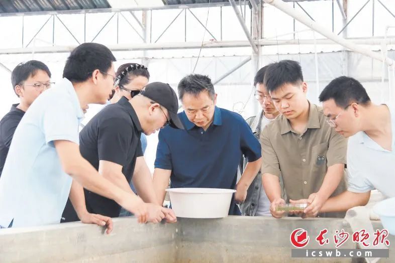 威廉希尔中文网站平台