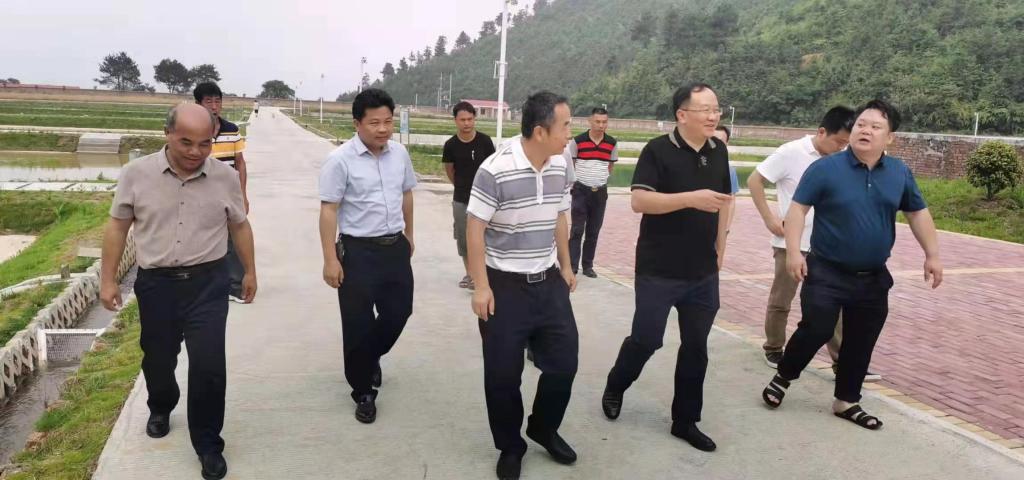 威廉希尔中文网站平台