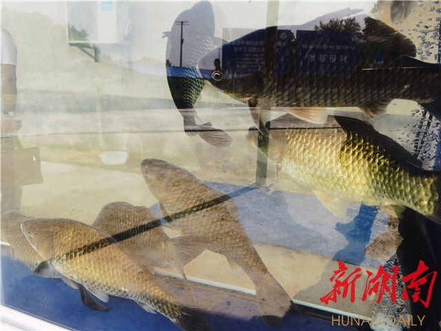 威廉希尔中文网站平台