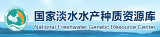 威廉希尔中文网站平台