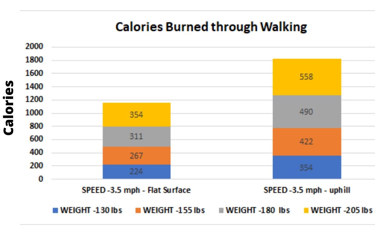 How walking burn calories to lose weight? And its Health Benefits.