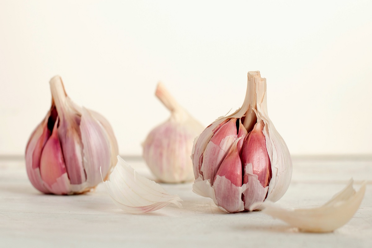 Health Benefits of Garlic, Nutritional Facts, and Recommendation