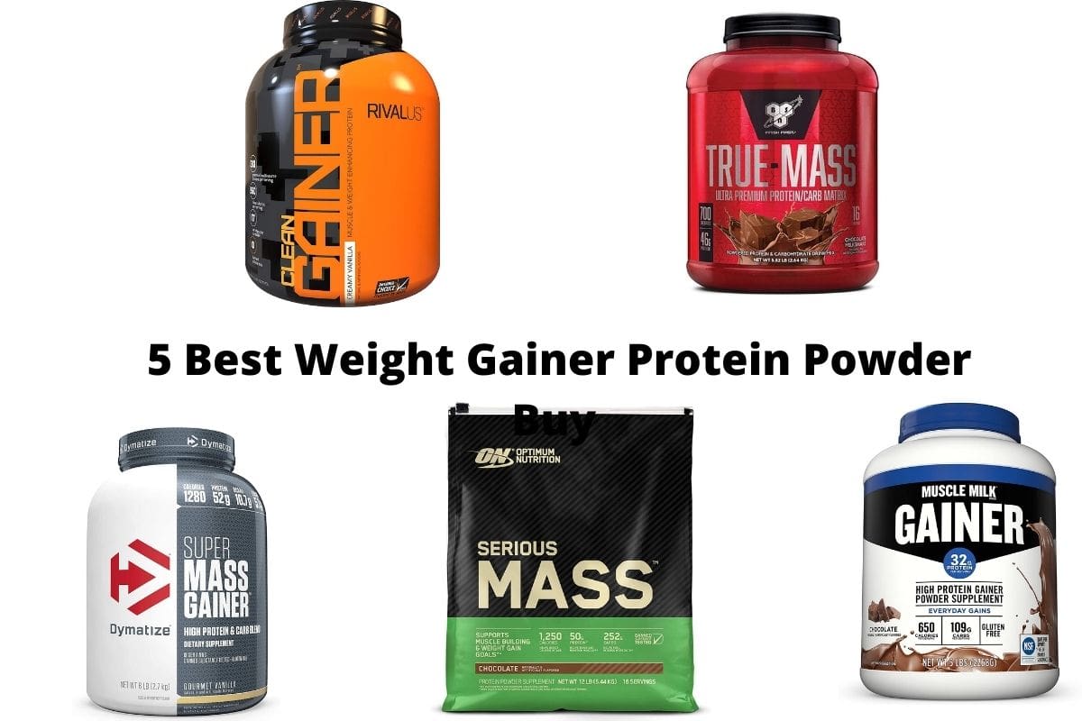 5 Best Weight Gainer Protein Powder to Buy - Review Based